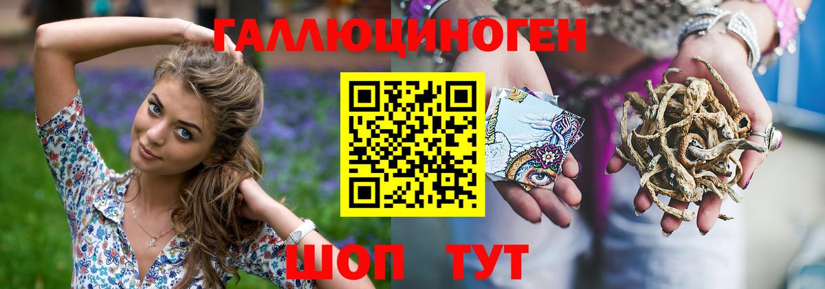 Псилоцибиновые грибы Psilocybine cubensis Гусев